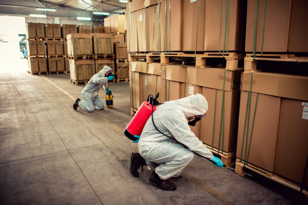 Best Best Pest Control Companies  in Serenada, TX