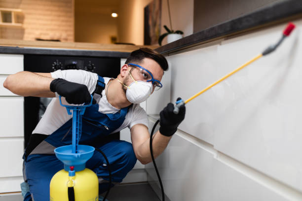 Best Local Pest Control Services  in Serenada, TX