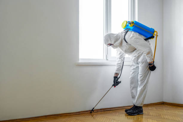 Best Rat Extermination Near Me  in Serenada, TX