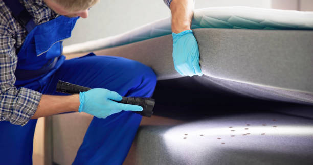 Best Cockroach Control Services  in Serenada, TX