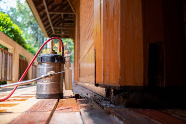 Best Pest Removal Services  in Serenada, TX