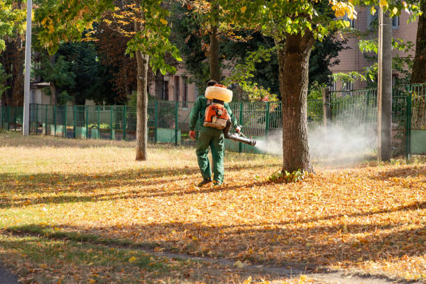 Trusted Serenada, TX Pest Control Experts