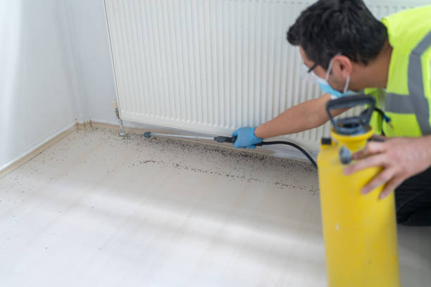 Pest Control Cost in Serenada, TX