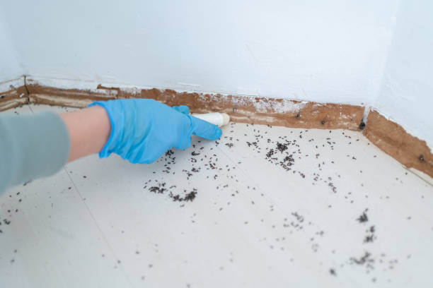 Serenada, TX Pest Control Company